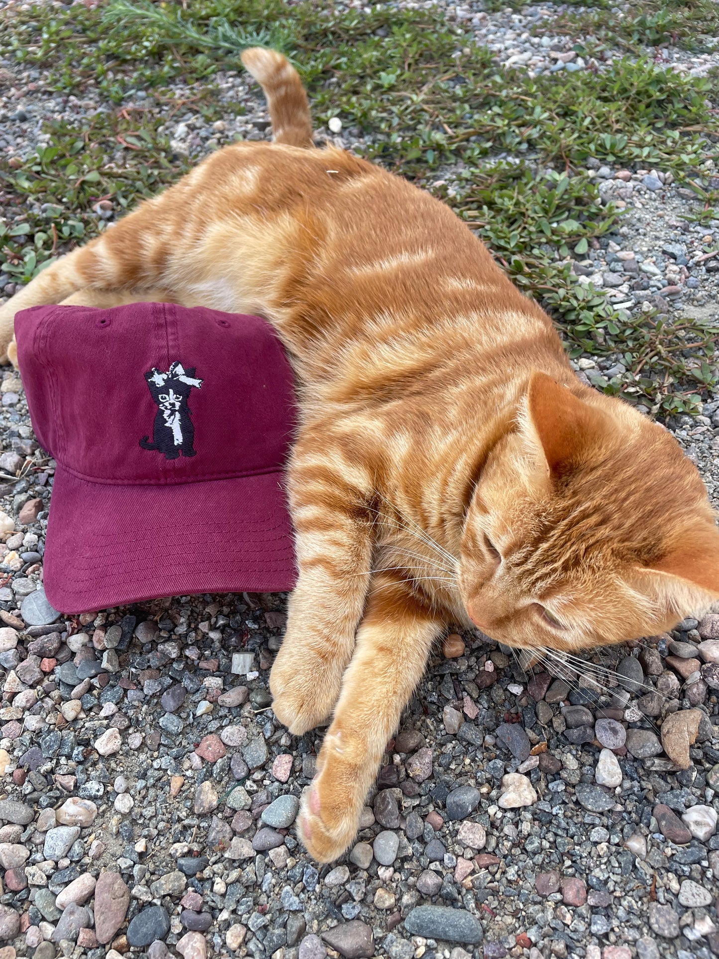 Cat Hat Unisex