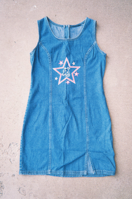 Star Dog Dress