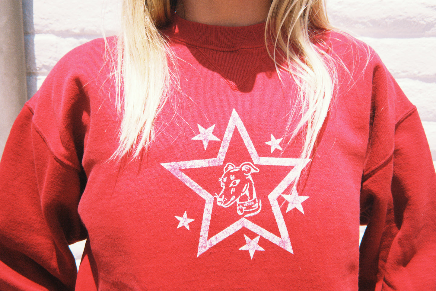 Star Dog Red Sweatshirt