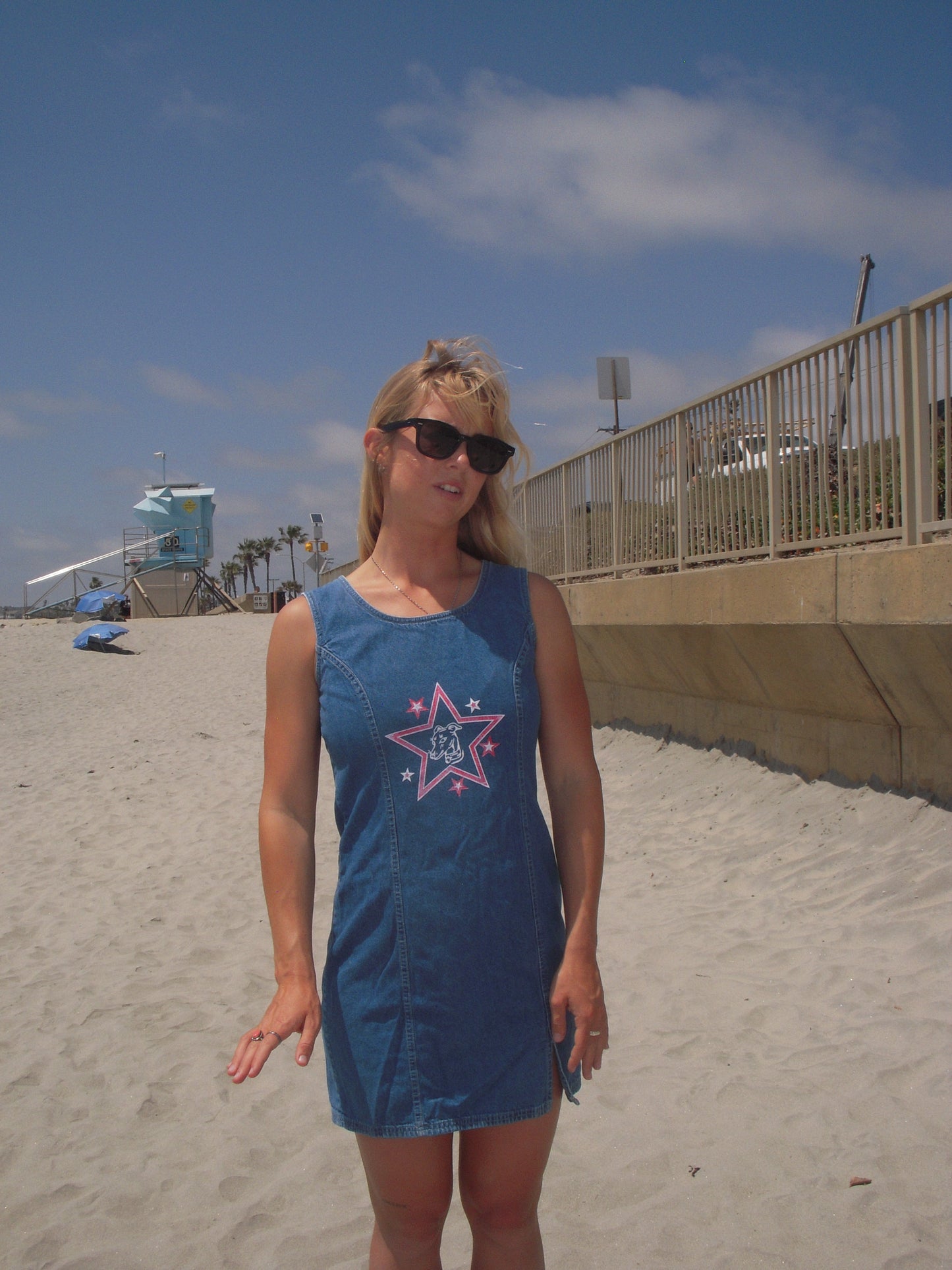 Star Dog Dress