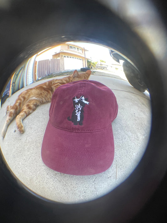 Cat Hat Unisex