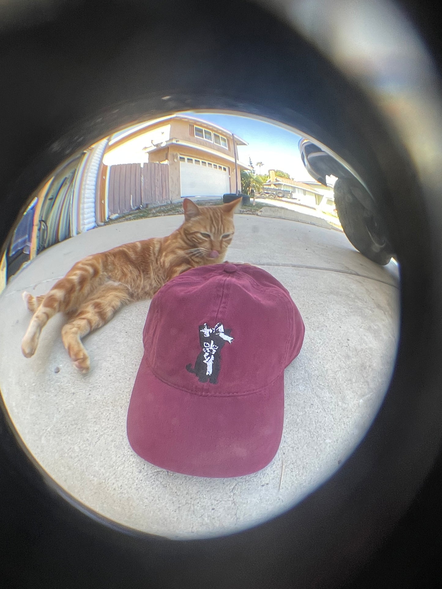 Cat Hat Unisex