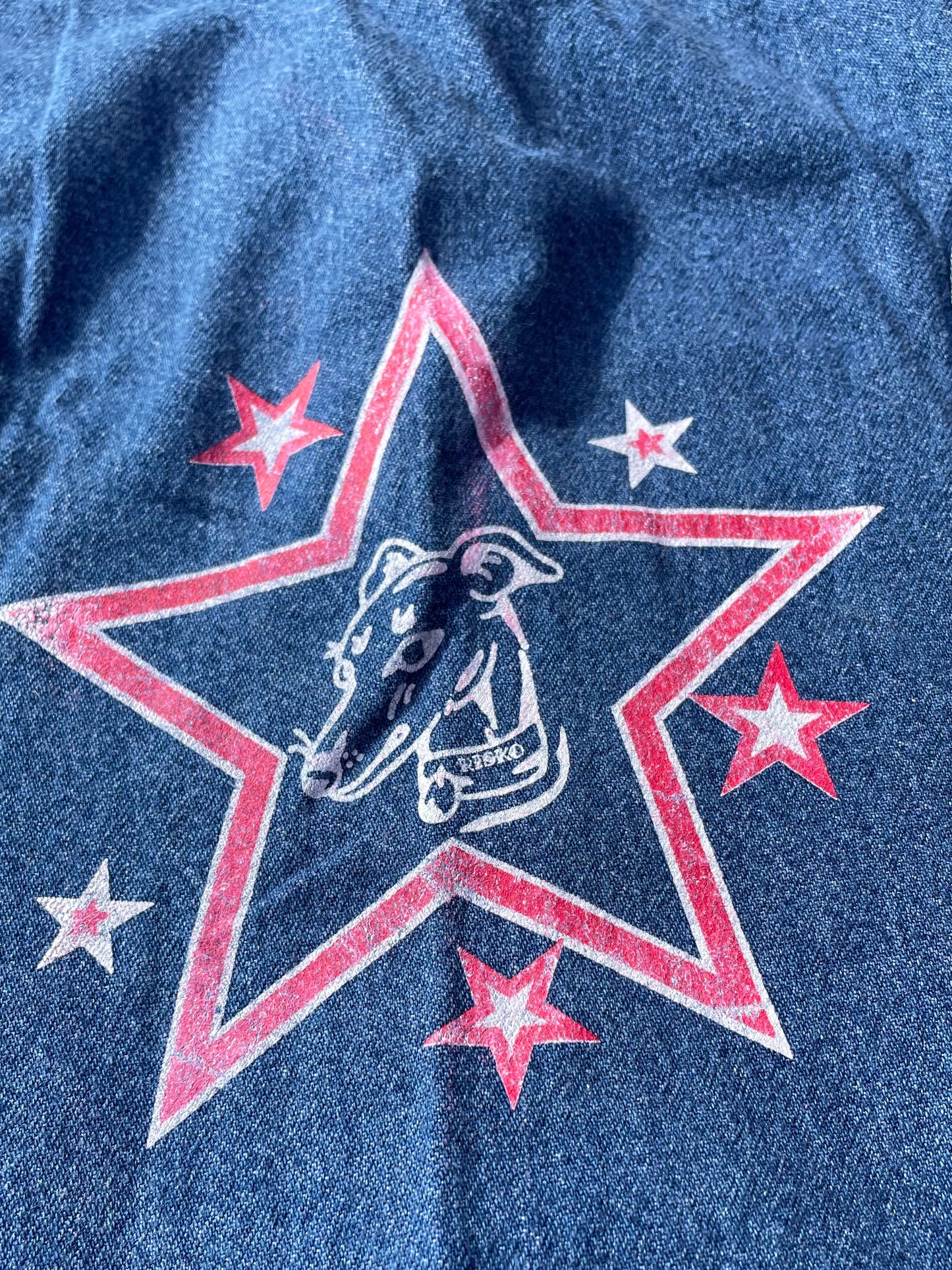Star Dog Dress