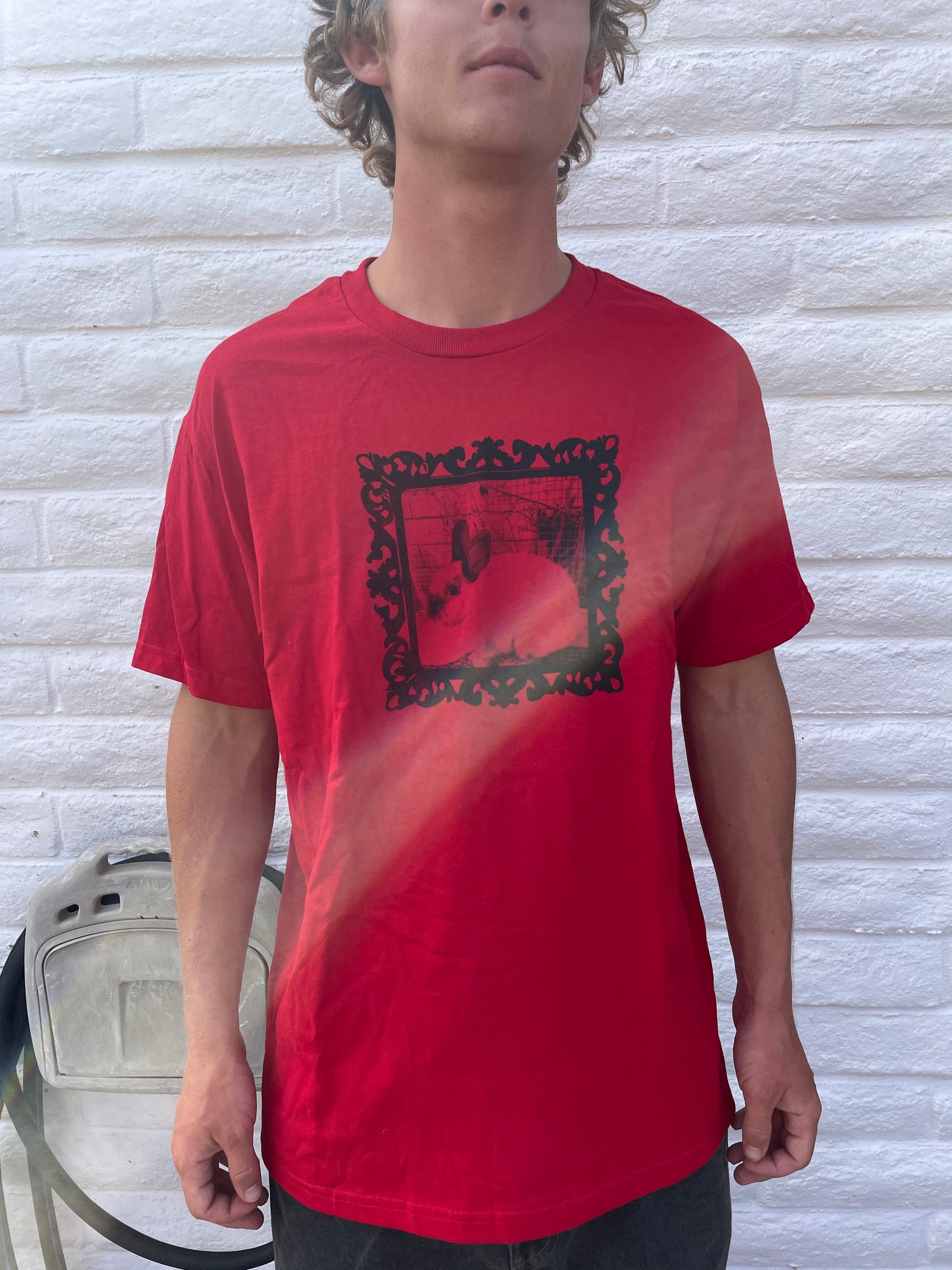 Bunny Short Sleeve