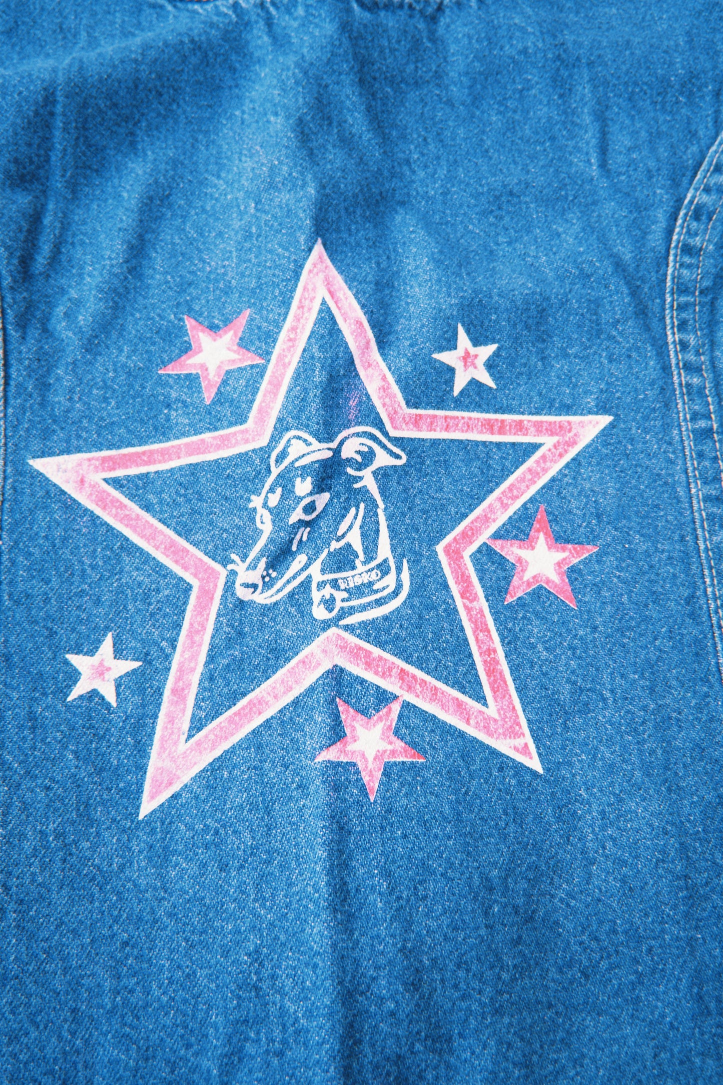 Star Dog Dress