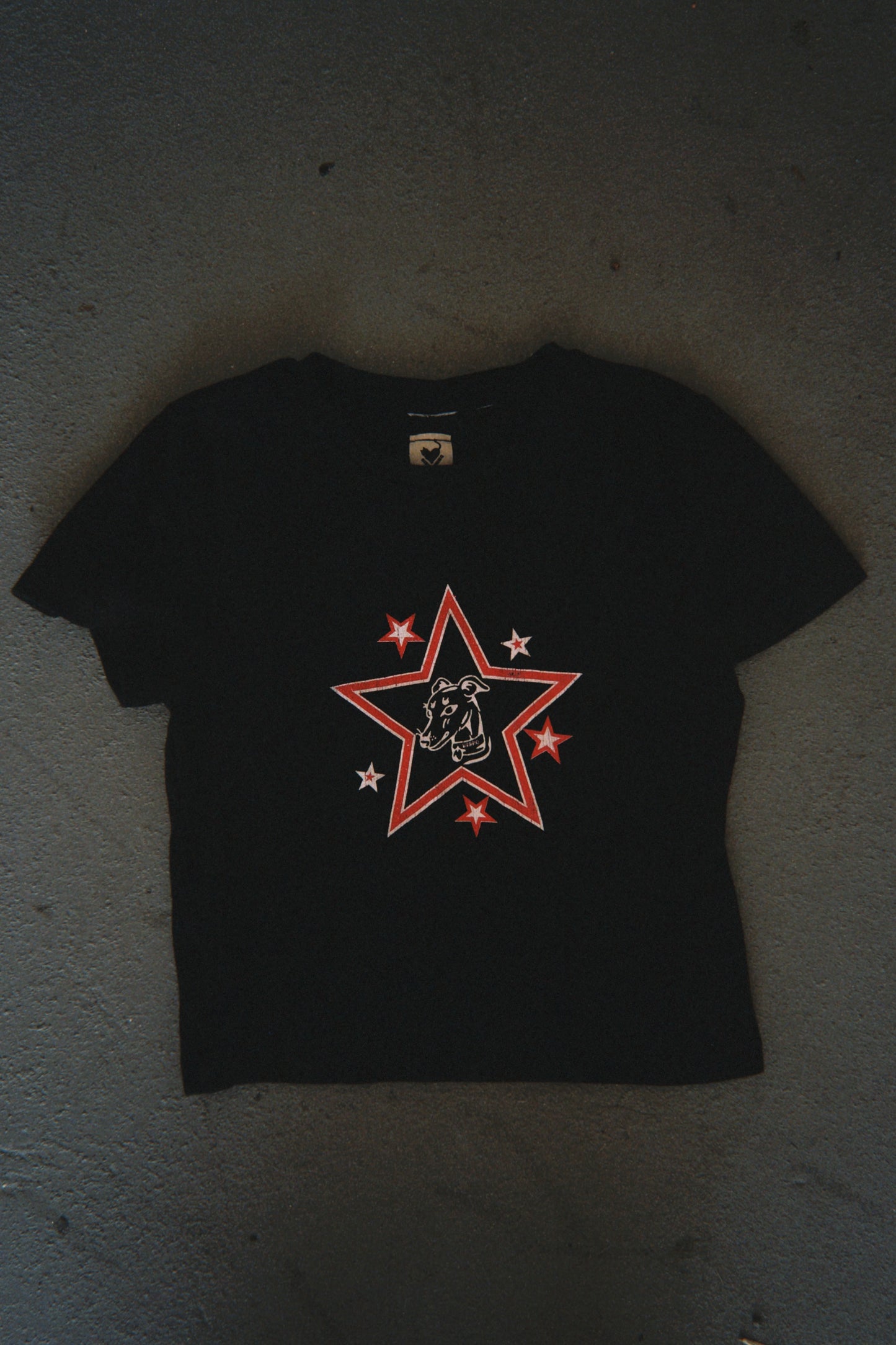 Star Dog Baby Tee