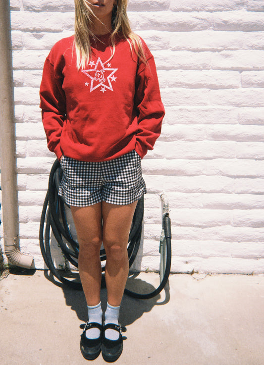 Star Dog Red Sweatshirt