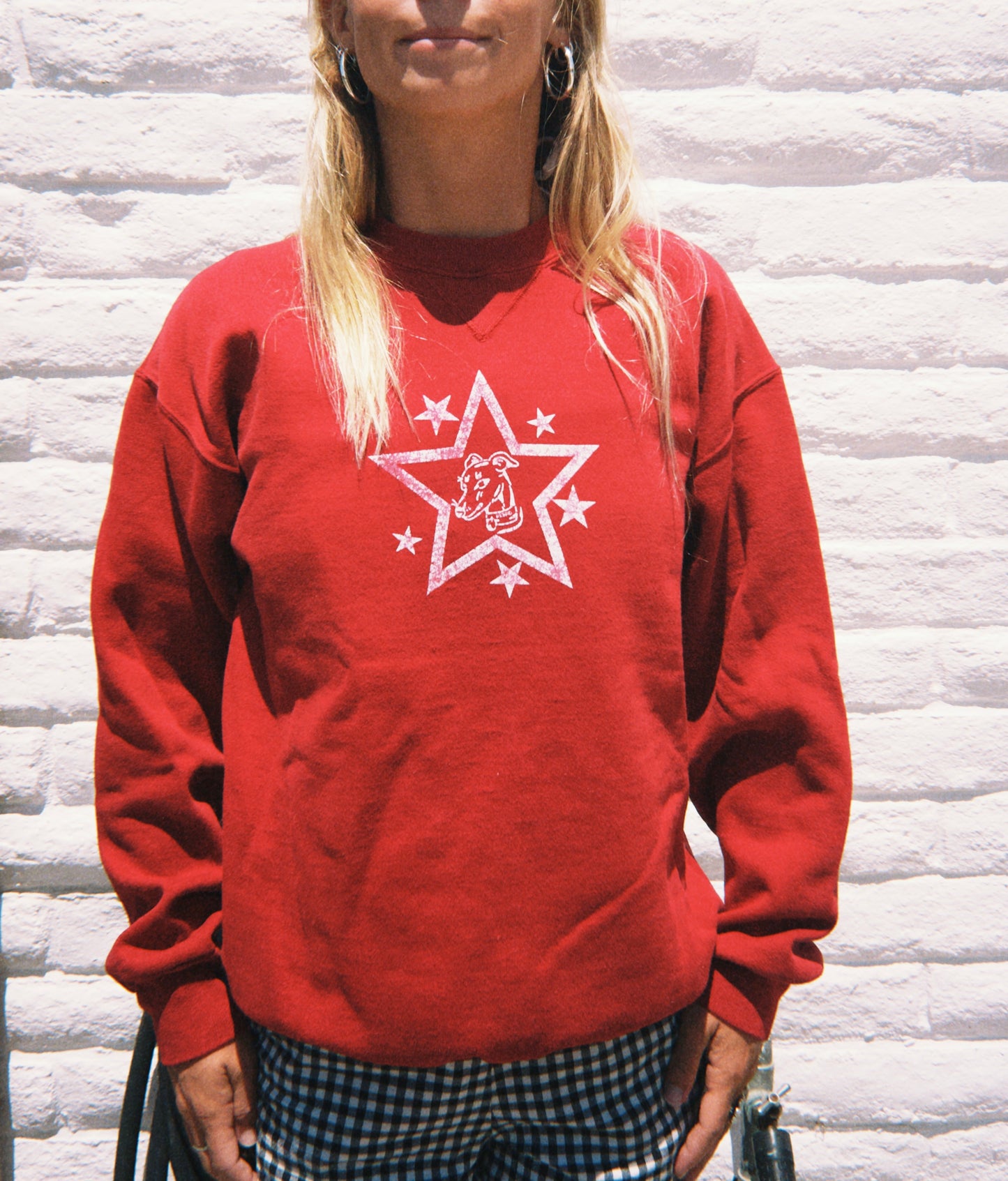 Star Dog Red Sweatshirt