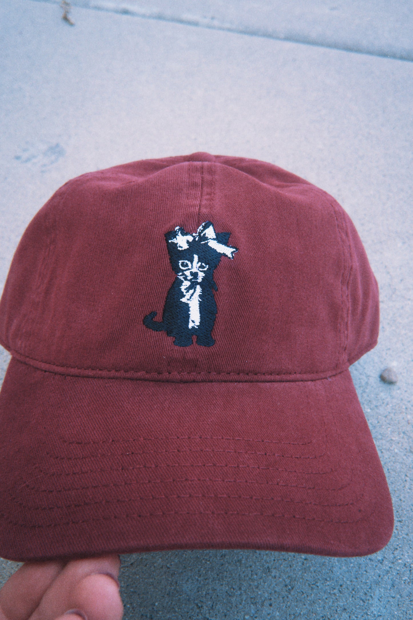 Cat Hat Unisex