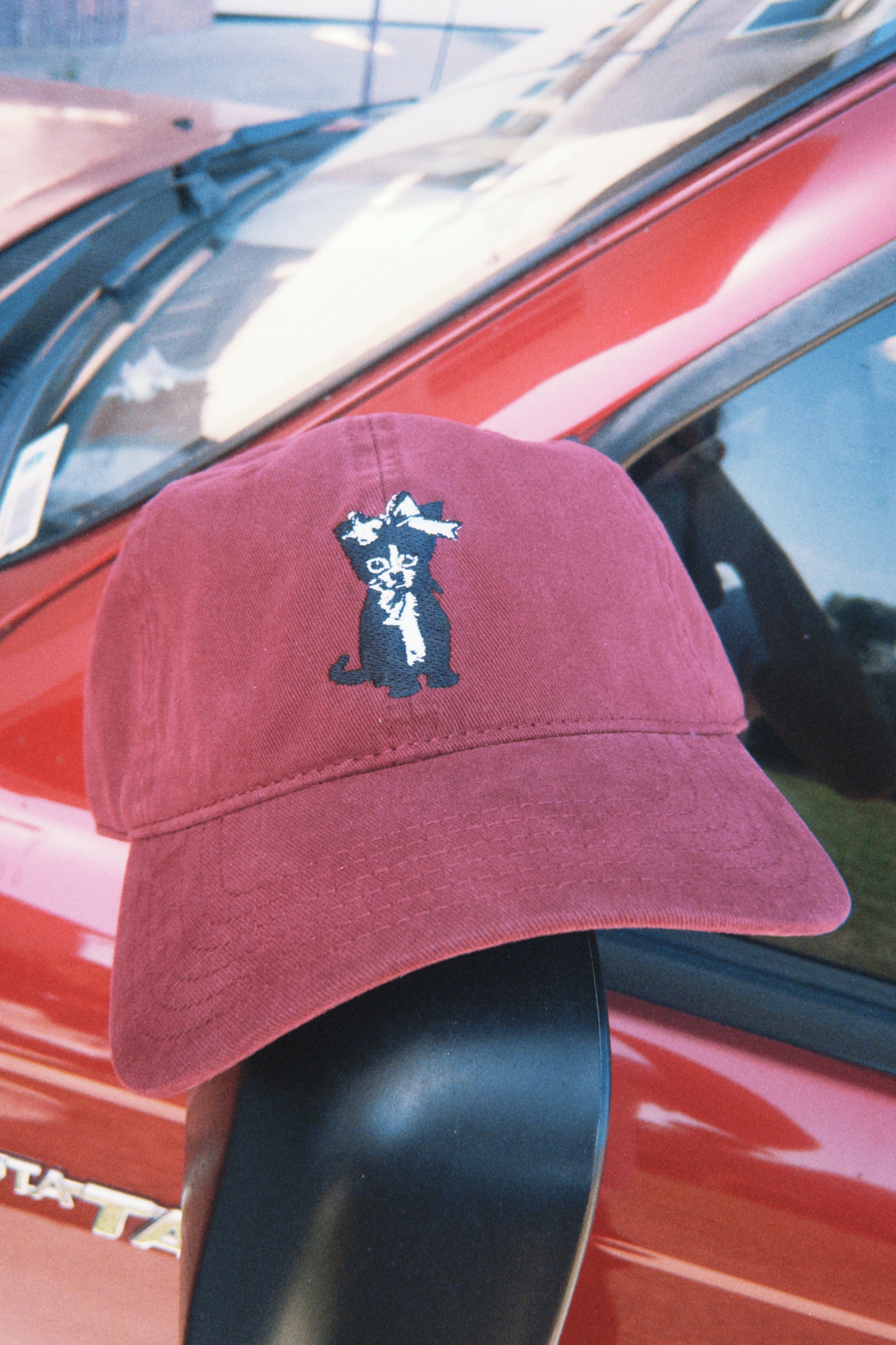 Cat Hat Unisex