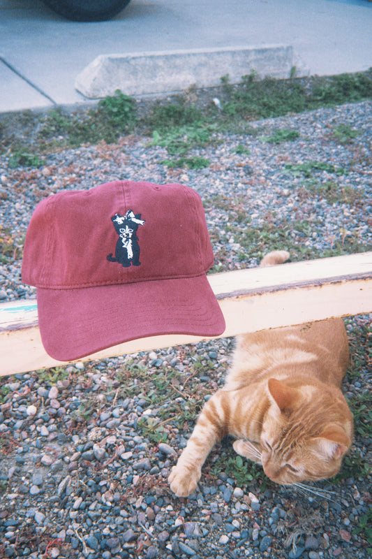 Cat Hat Unisex