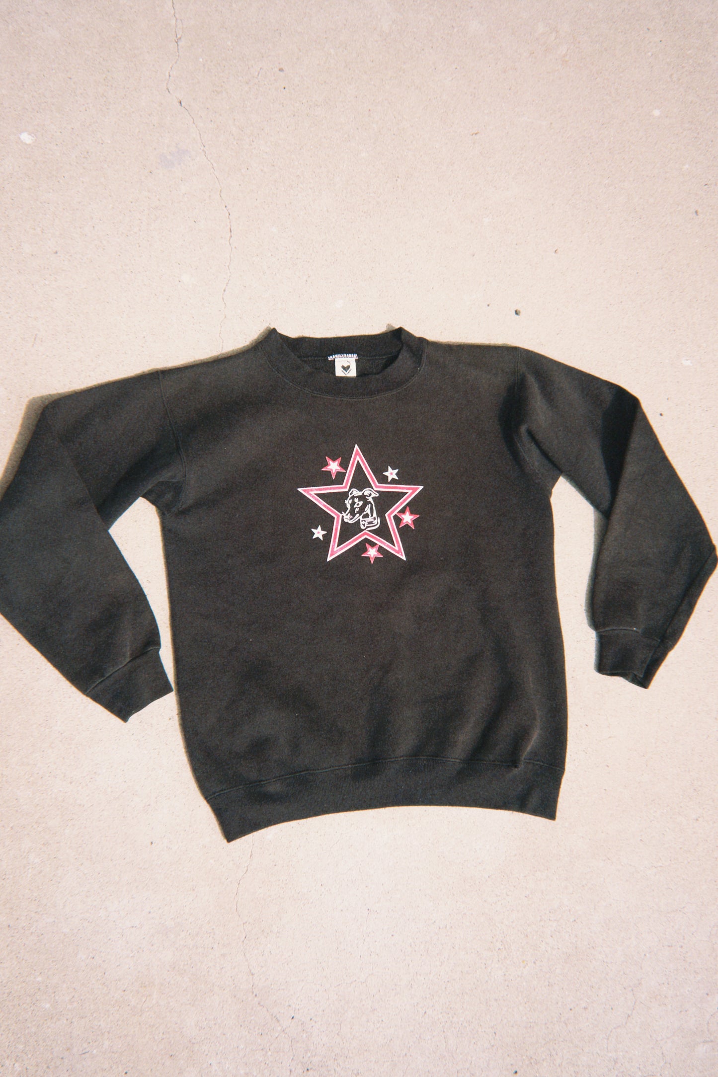 Star Dog Sweatshirt
